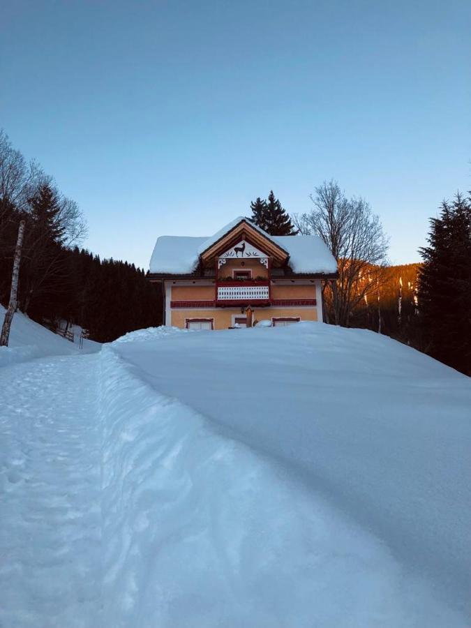 Baita Alpenrose Villa Ugovizza Eksteriør bilde