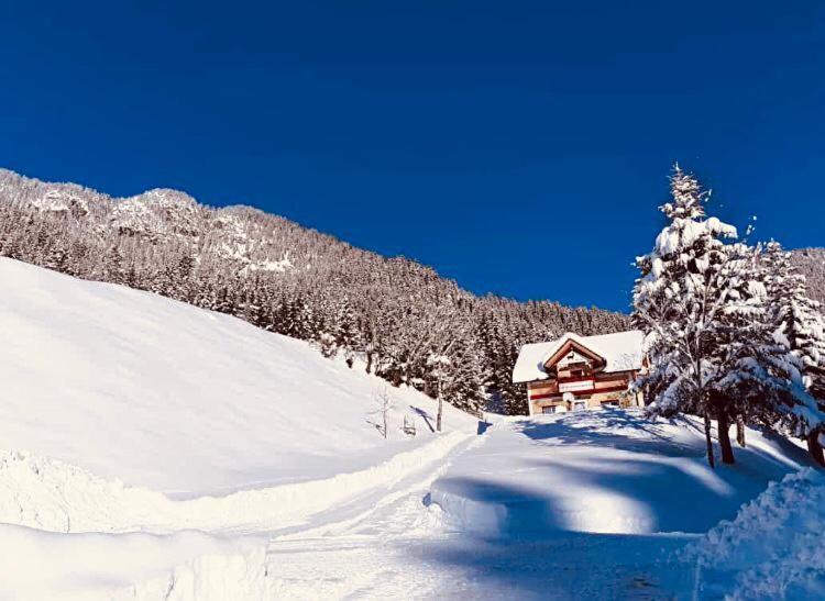 Baita Alpenrose Villa Ugovizza Eksteriør bilde