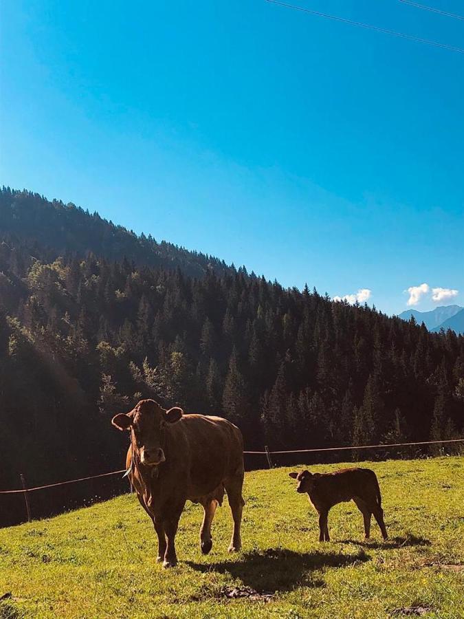 Baita Alpenrose Villa Ugovizza Eksteriør bilde